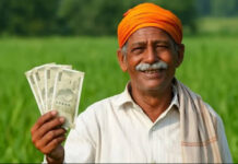 PM Kisan: पीएम किसान योजननेचा २० हप्ता जमा झाला नसेल तर…