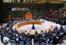 Israel On Pakistan: इस्रायलने पाकिस्तानला दाखवला आरसा