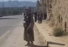 पेशावर पाकिस्तानच्या ताब्यातून मुक्त, व्हिडीओ व्हायरल