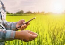 ई पीक पाहणी नोंद न झालेल्या शेतकऱ्यांना दिलासा, आता…