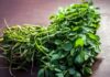 Methi | मेथी वर्षभर ताजी ठेवण्यासाठी सोपे घरगुती उपाय