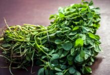 Methi | मेथी वर्षभर ताजी ठेवण्यासाठी सोपे घरगुती उपाय