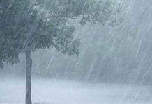 महाराष्ट्रावर अवकाळीचे संकट कायम: पुढील ३ दिवस वादळी पावसाचा इशारा, शेतकरी हवालदिल