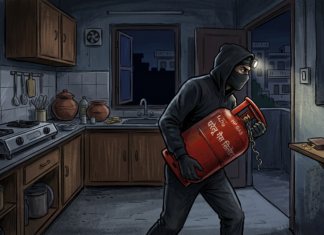 चोराने दागिने पैसे न चोरता पळवला गॅस सिलिंडर