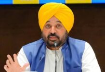 ‘आले, लसूण, जिरे कधीच भाजी बनू शकत नाहीत’; पक्षांतर करणाऱ्या खासदारांना भगवंत मान यांचा खोचक टोला