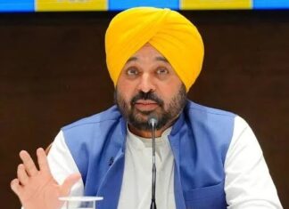 ‘आले, लसूण, जिरे कधीच भाजी बनू शकत नाहीत’; पक्षांतर करणाऱ्या खासदारांना भगवंत मान यांचा खोचक टोला