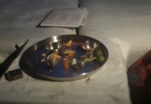 अघोरी प्रकार! अजित पवारांच्या प्रतिमेसमोर टाचण्या टोचलेली लिंबू आणि…; अमोल मिटकरींच्या ट्विटने खळबळ