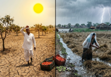 महाराष्ट्रात कुठे पावसाचा तडाखा तर कुठे उष्णतेची लाट