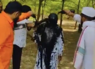 वारकरी संप्रदायातील ‘घुसखोरी’ वादातून राष्ट्रवादीचे प्रवक्ते विकास लवांडे यांच्यावर शाईफेक; पिस्तूल दाखवल्याचाही आरोप