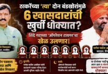 ठाकरेंच्या ‘त्या’ दोन बंडखोरांमुळे ६ खासदारांची खुर्ची धोक्यात? शिंदे गटाच्या ‘ऑपरेशन टायगर’चा खेळ उलणार!