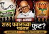 महा-धक्का! ठाकरेनंतर आता शरद पवारांच्या पक्षात मोठी फूट? आमदारांमध्ये दोन तट; थेट ‘या’ पक्षात विलीनीकरणाची चर्चा!