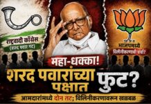 महा-धक्का! ठाकरेनंतर आता शरद पवारांच्या पक्षात मोठी फूट? आमदारांमध्ये दोन तट; थेट ‘या’ पक्षात विलीनीकरणाची चर्चा!