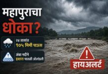 महापुराचा धोका? नद्यांनी ओलांडली पातळी, २४ तासांत १०५ मिमी पाऊस
