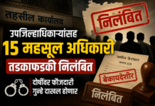 उपजिल्हाधिकाऱ्यांसह १५ महसूल अधिकारी तडकाफडकी निलंबित; दोषींवर फौजदारी गुन्हे दाखल होणार