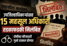 उपजिल्हाधिकाऱ्यांसह १५ महसूल अधिकारी तडकाफडकी निलंबित; दोषींवर फौजदारी गुन्हे दाखल होणार