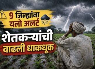 Maharashtra Weather Update: ९ जिल्ह्यांना वादळी पावसाचा ‘यलो अलर्ट’; पण शेतकऱ्यांची धाकधूक वाढली