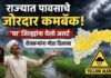 Maharashtra Rain Update: राज्यात पावसाचे जोरदार कमबॅक; ‘या’ जिल्ह्यांना येलो अलर्ट