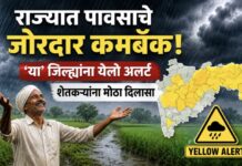 Maharashtra Rain Update: राज्यात पावसाचे जोरदार कमबॅक; ‘या’ जिल्ह्यांना येलो अलर्ट