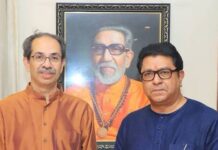 राज-उद्धवची जोडी खास, सत्ताधाऱ्यांचा वाढला त्रास