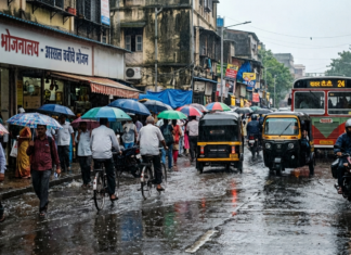 महाराष्ट्रात पुन्हा पाऊस सक्रिय; पुढील आठवड्यात मुसळधार हजेरीचा अंदाज