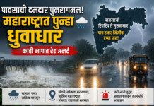महाराष्ट्रात पुन्हा पाऊस सक्रिय; पुढील आठवड्यात मुसळधार हजेरीचा अंदाज