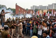 दिल्लीतील ‘कॉकरोच जनता पार्टी’च्या आंदोलनावरून पेटला वाद; संयुक्त राष्ट्रसंघाच्या भूमिकेला भारताचे प्रत्युत्तर!