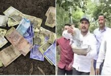 मुख्यमंत्र्यांच्या ‘त्या’ घोषणेने शेतकरी खवळले! तहसील कार्यालयाबाहेर नेमका काय घडला प्रकार?