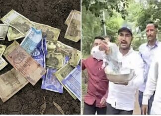 मुख्यमंत्र्यांच्या ‘त्या’ घोषणेने शेतकरी खवळले! तहसील कार्यालयाबाहेर नेमका काय घडला प्रकार?