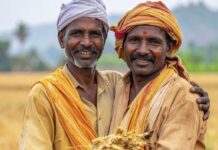 सोलापूरच्या बळीराजाला मोठा दिलासा! ‘या’ दिवशी ५ लाख शेतकऱ्यांच्या खात्यात थेट जमा होणार पीएम किसानचा हप्ता